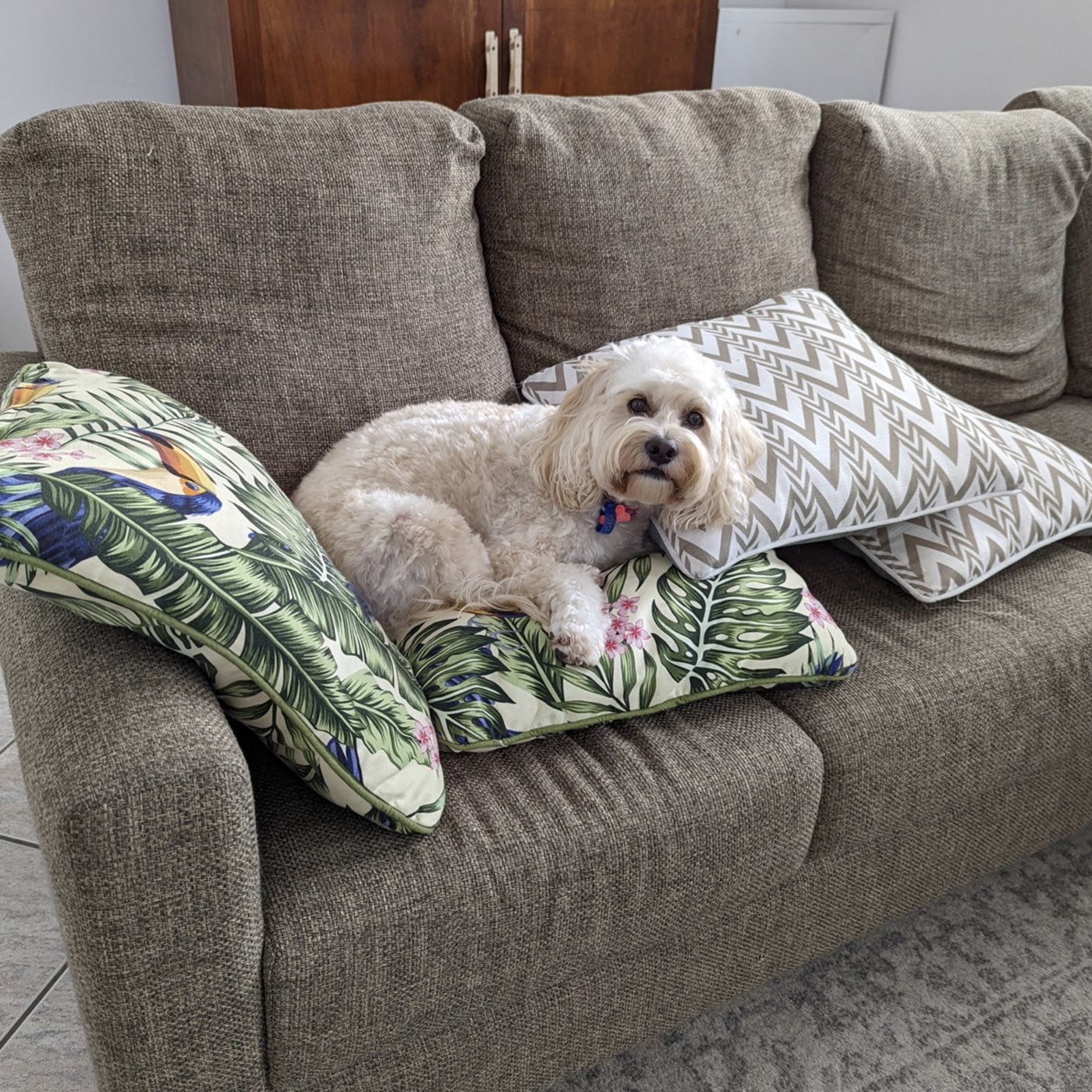 An Amazingly Brilliant Test