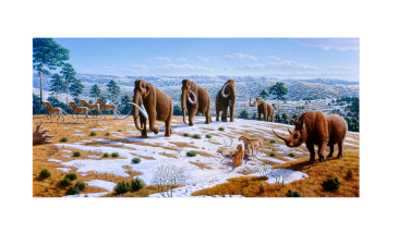 How Did the Wooly  Rhino Die