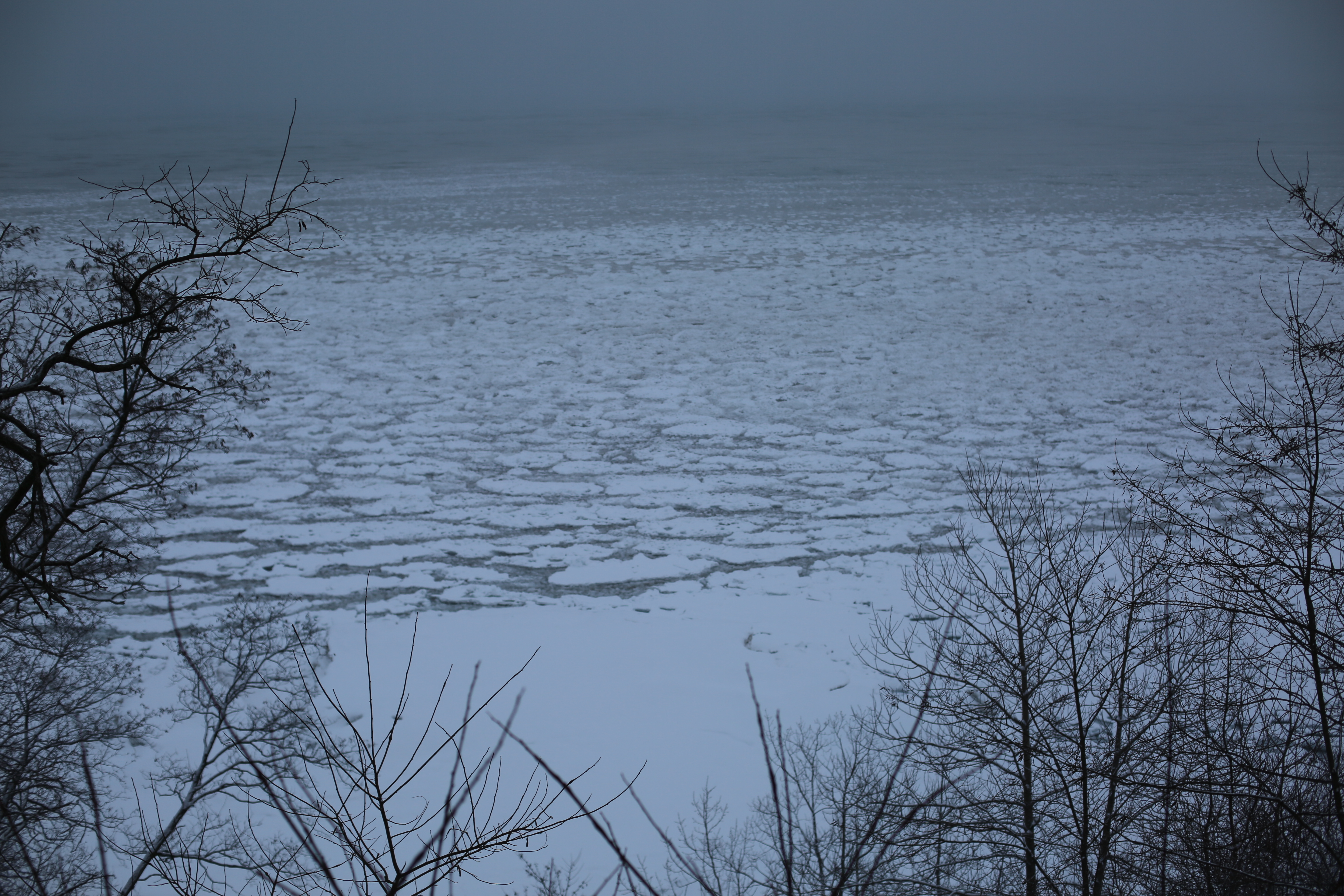 TWK Trucking with kingfish