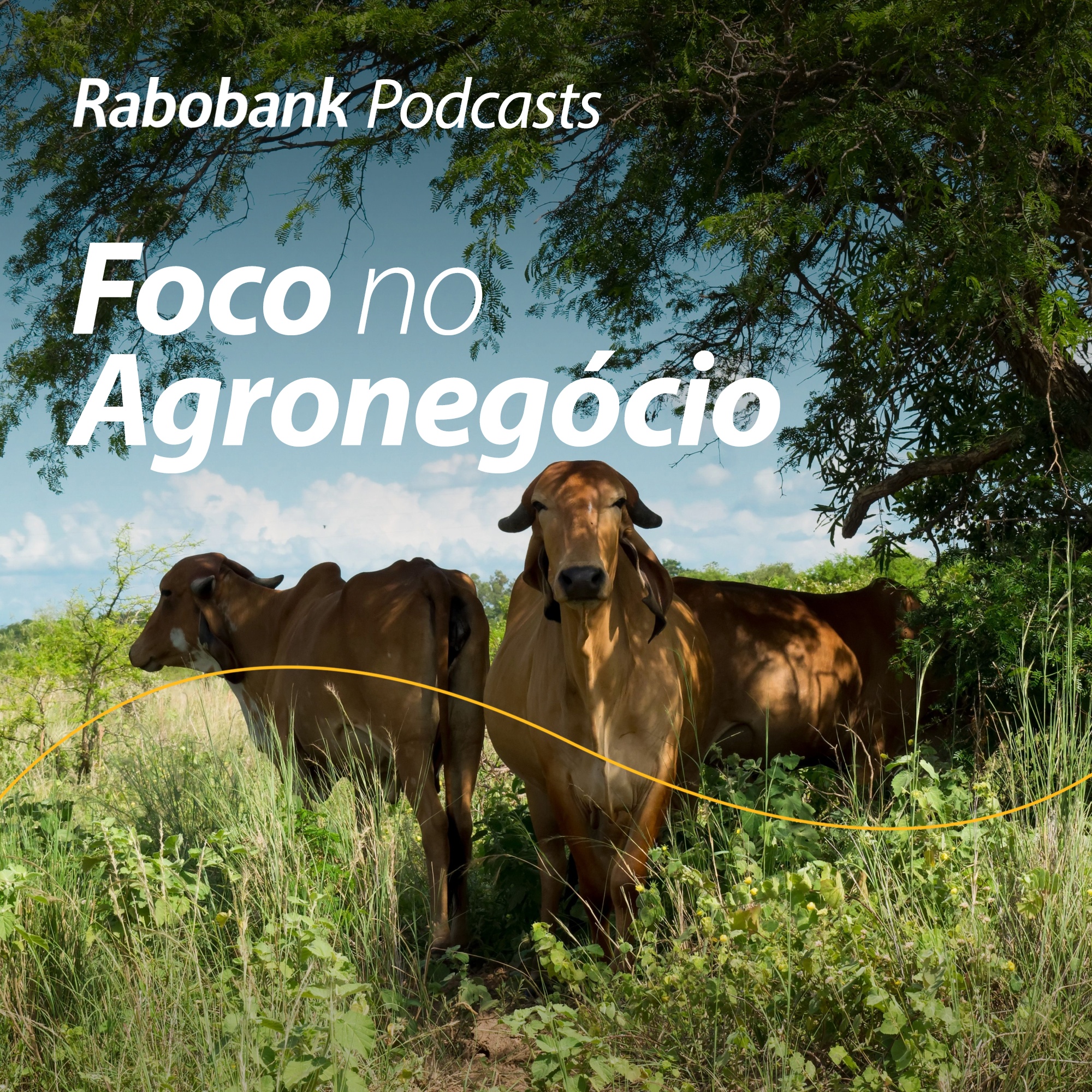 Foco no Agronegócio - Pesquisa Setorial