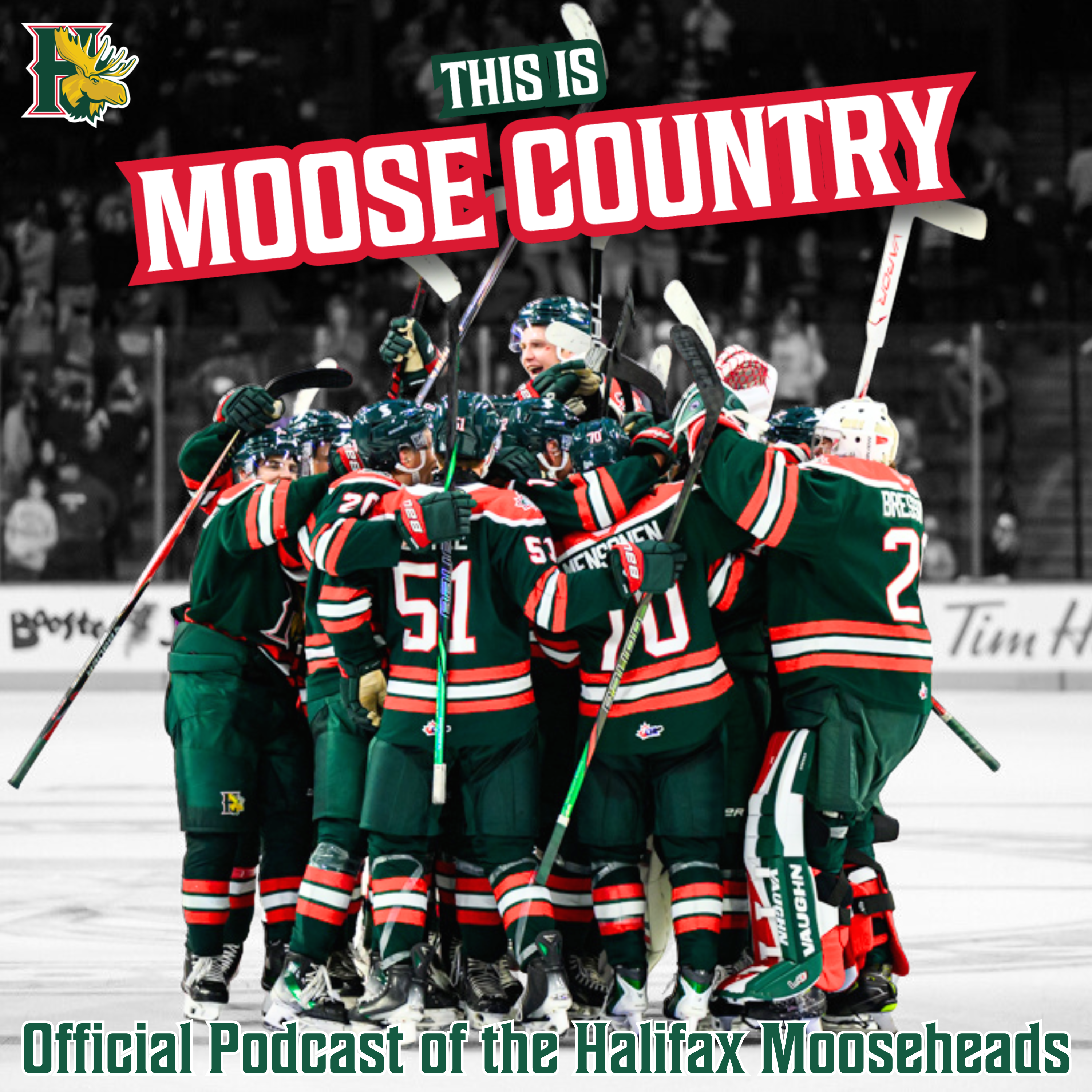 This is Moose Country