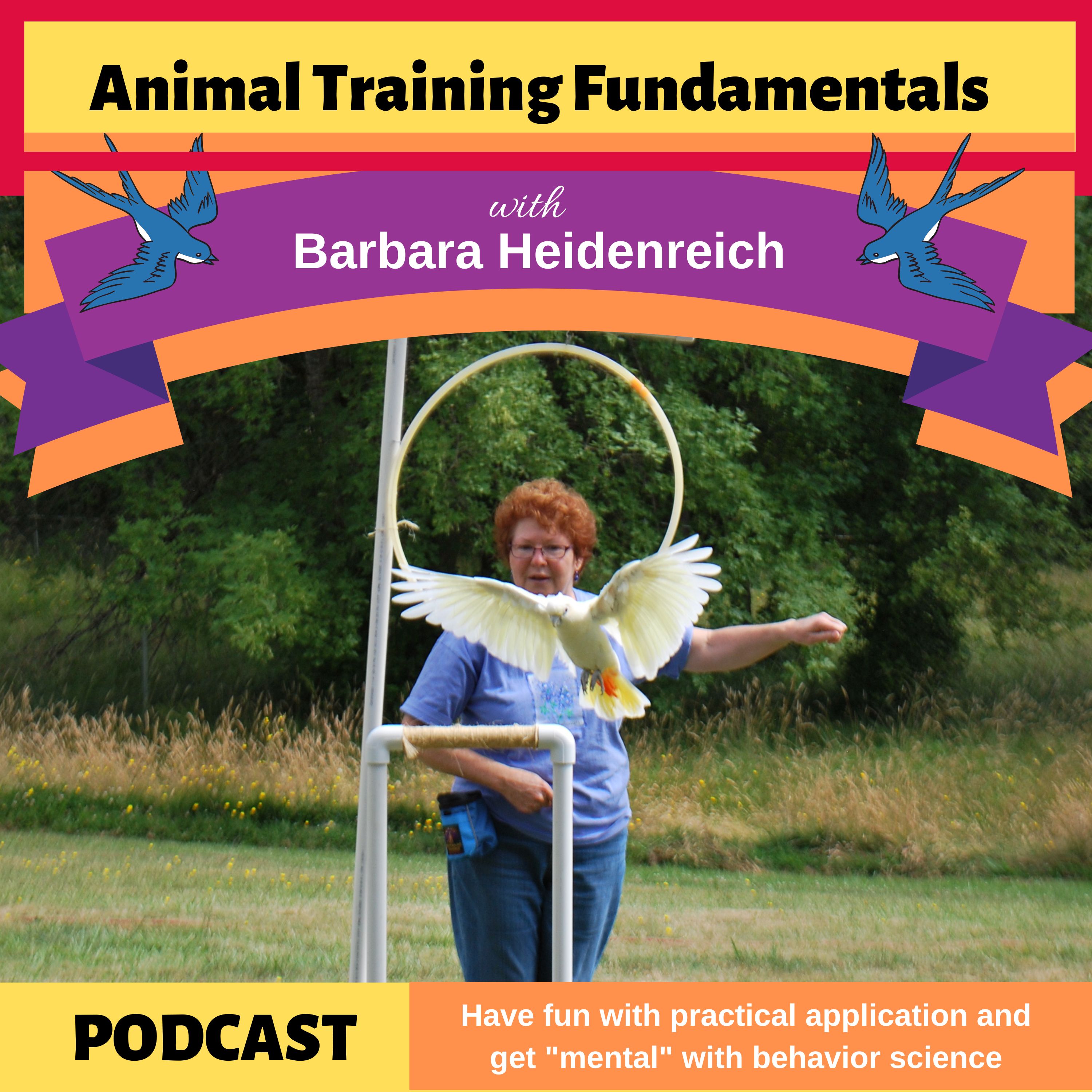 Animal Training Fundamentals with Barbara Heidenreich