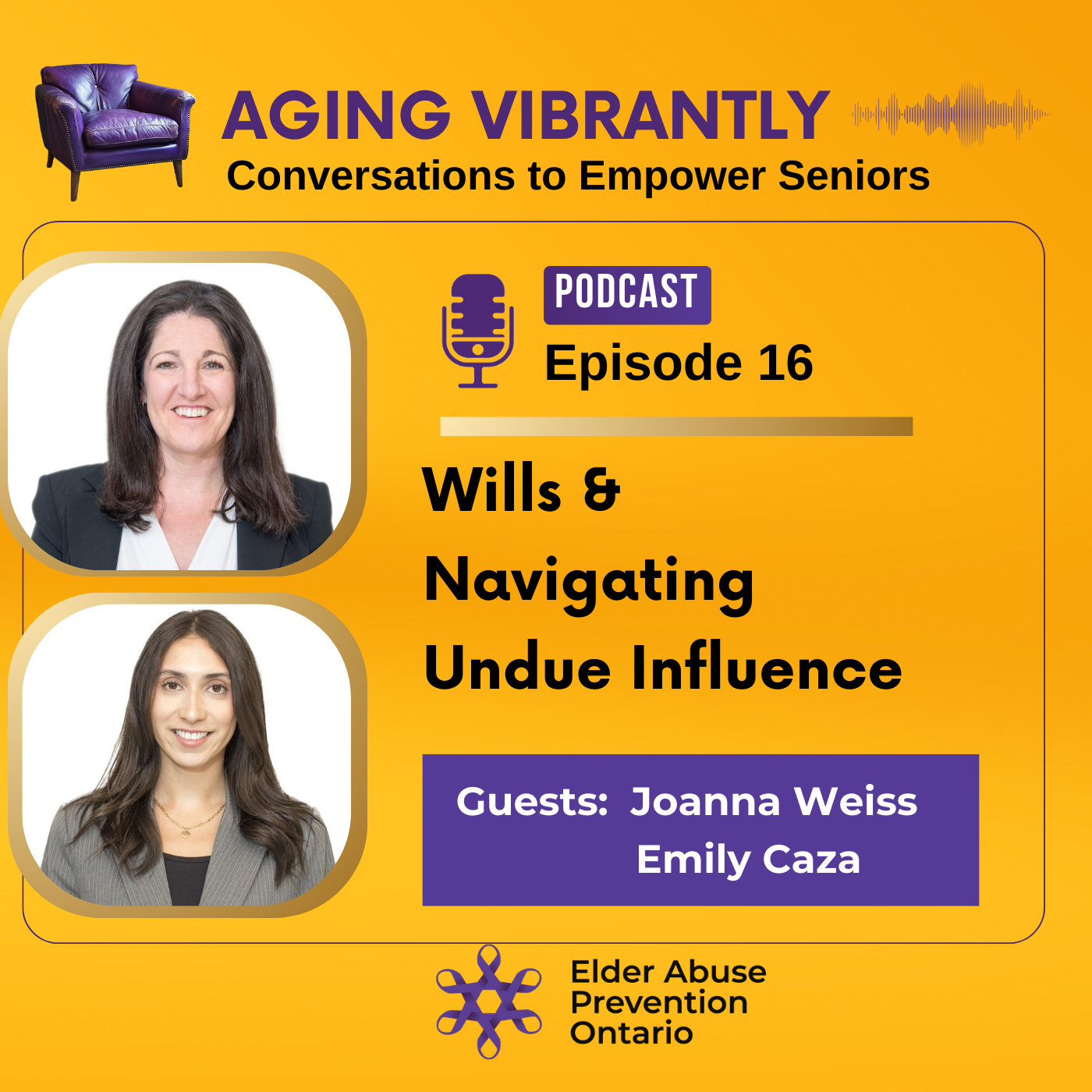 Aging Vibrantly : Conversations to Empower Seniors