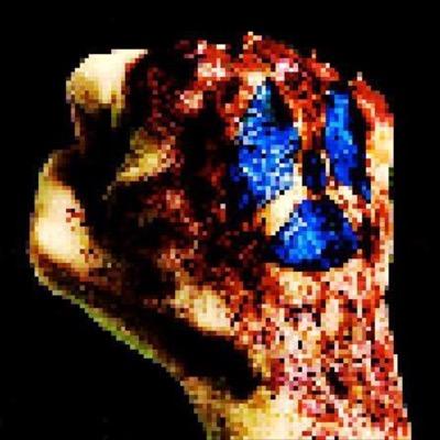 Vitamin Geek Podcast