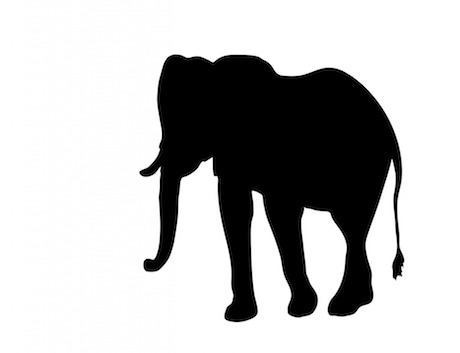 The Elephant in the Room episode artwork