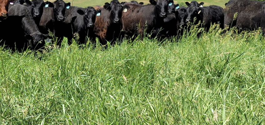 Off-Farm Income