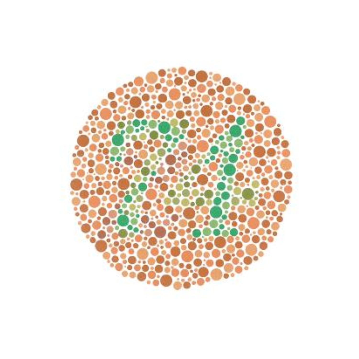 Seeing Colors