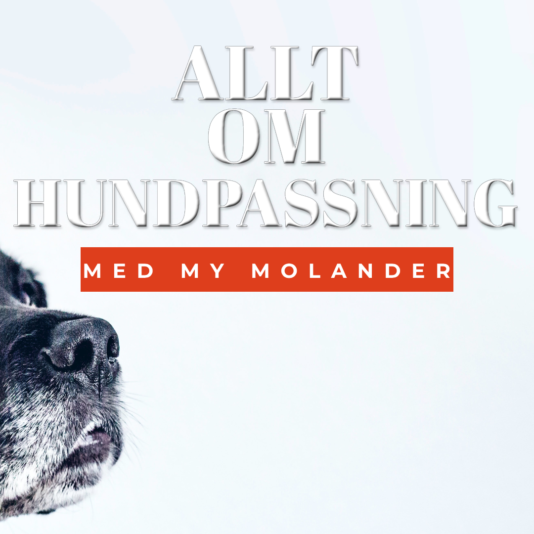 Hundpodden Vår Bästa Vän