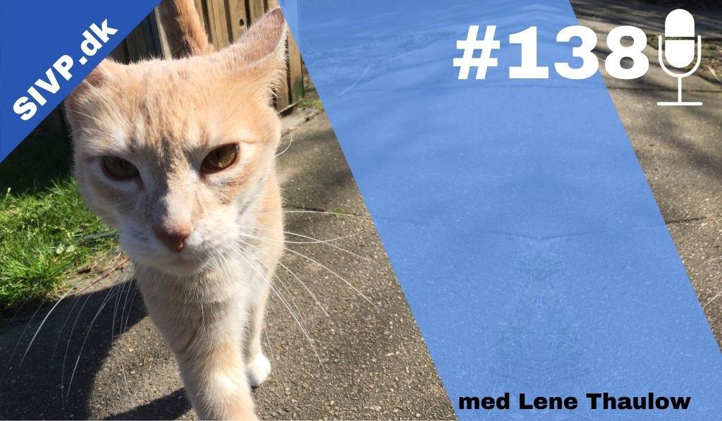 Succes I Veterinær Praksis Podcast - Sammen om at blive bedre