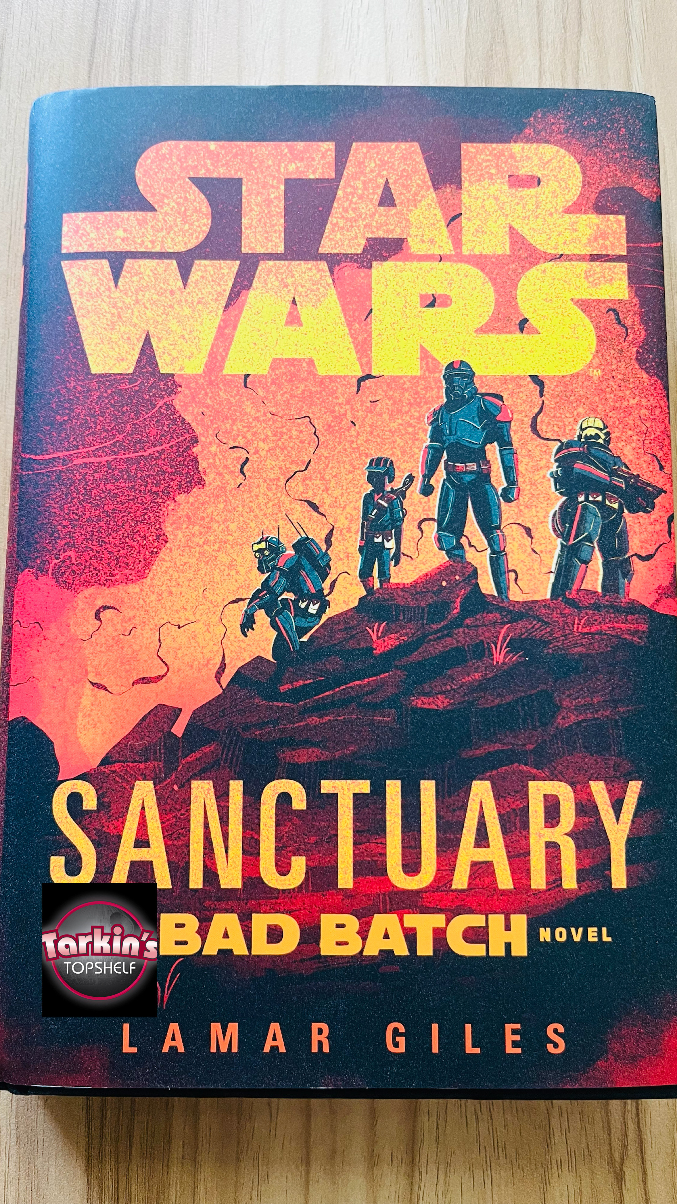 398: Book Reiew: SANCTUARY: A Bad Batch Novel by Lamar Giles