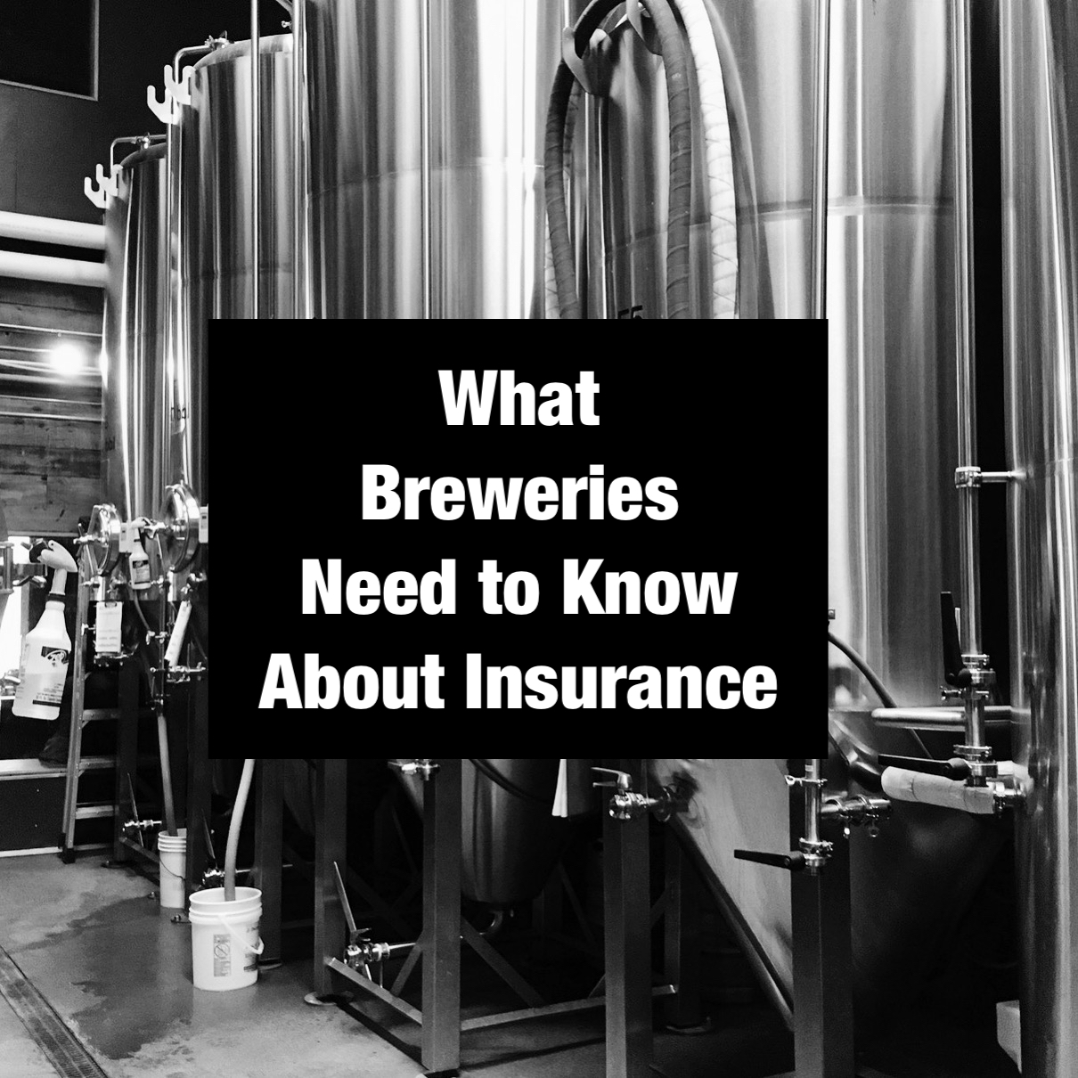 What Breweries Need to Know About Insurance – Portland Beer Podcast Episode 92