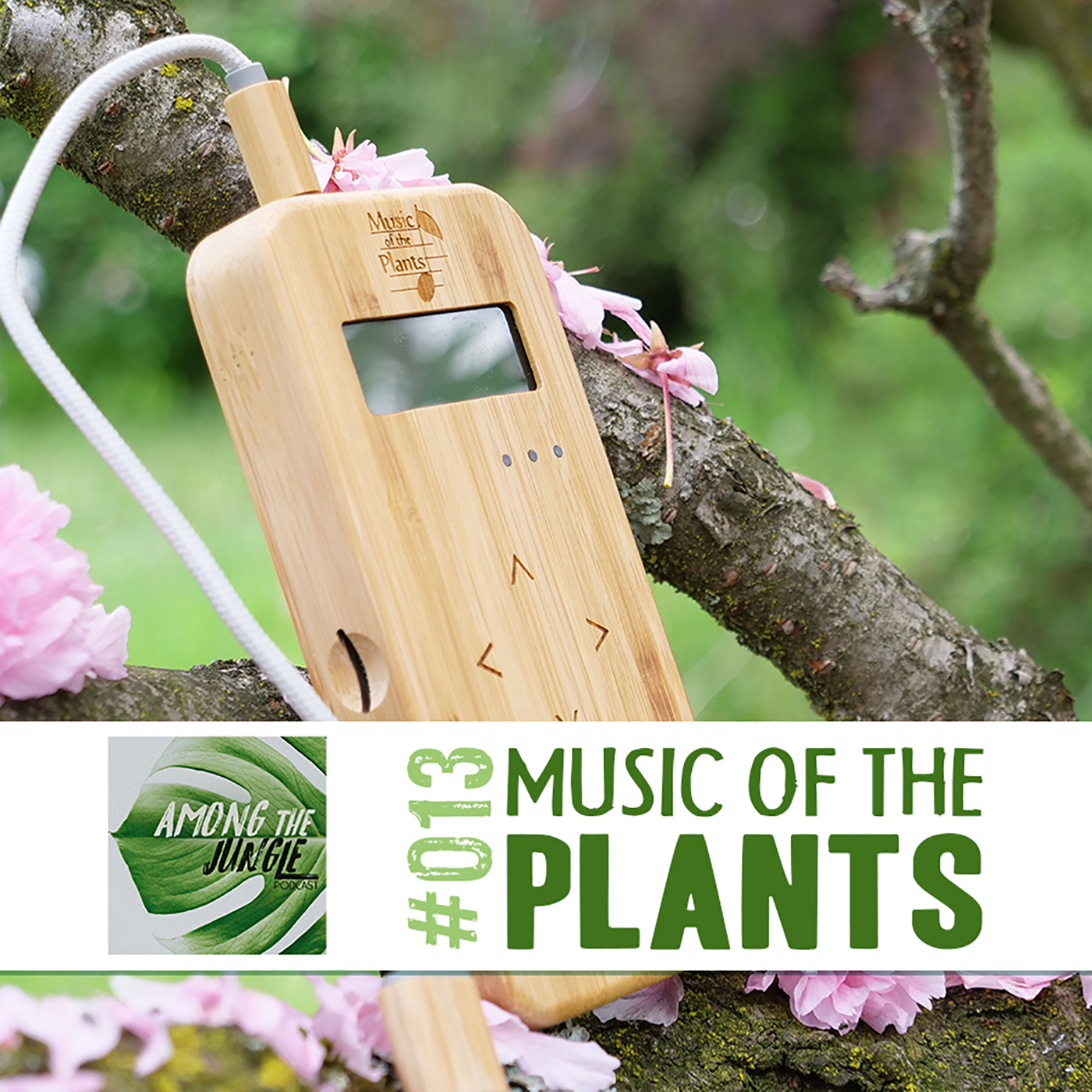 Music of the Plants: Giving Plants a Voice with Aninga Striano