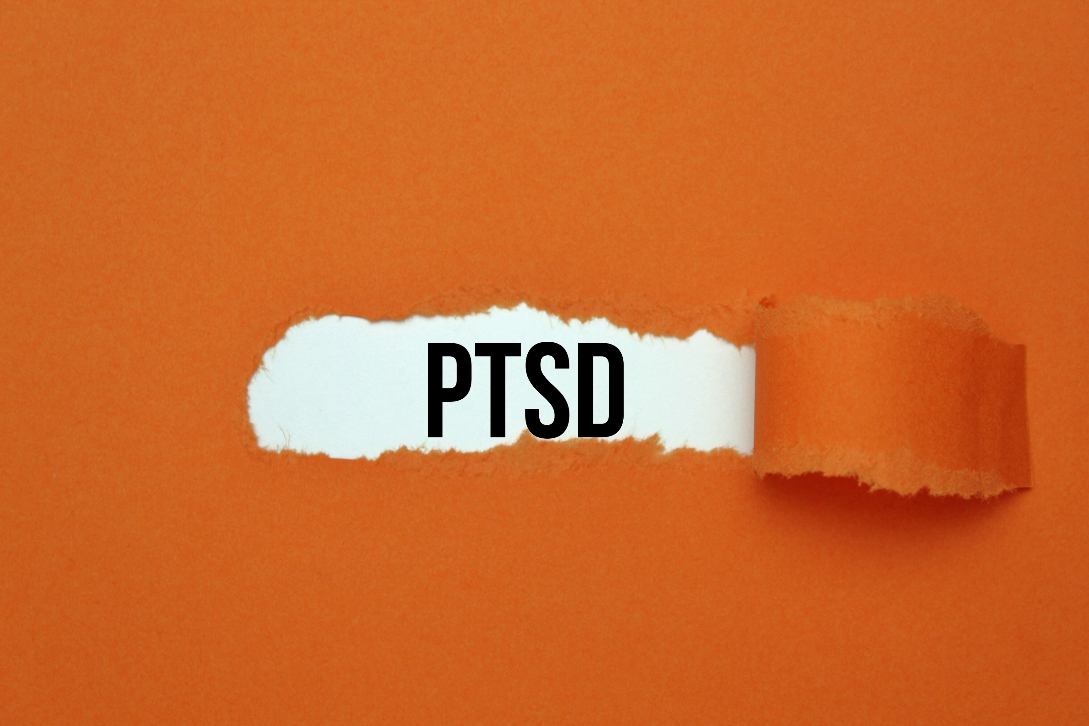 DDDD about PTSD and MDMA
