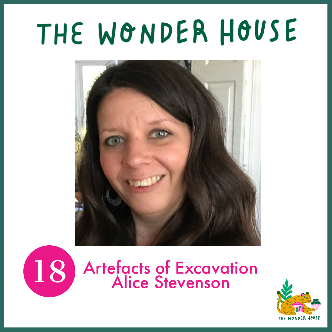 The Wonder House