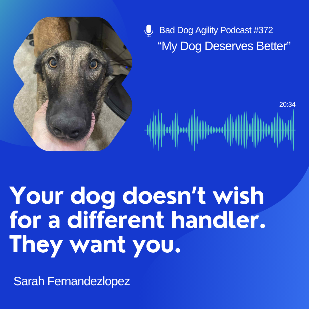 372: "My Dog Deserves Better"