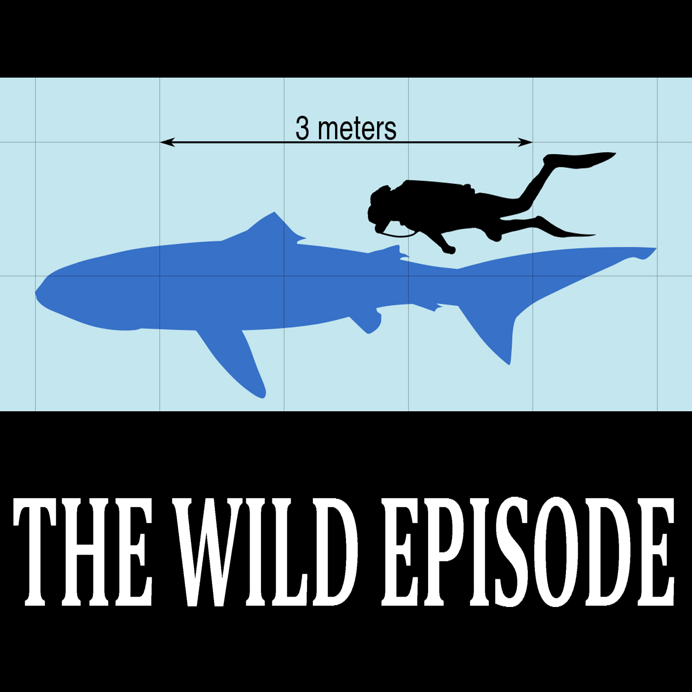 The Wild Episode