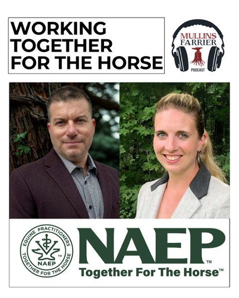 Working Together for the Horse (NAEP)