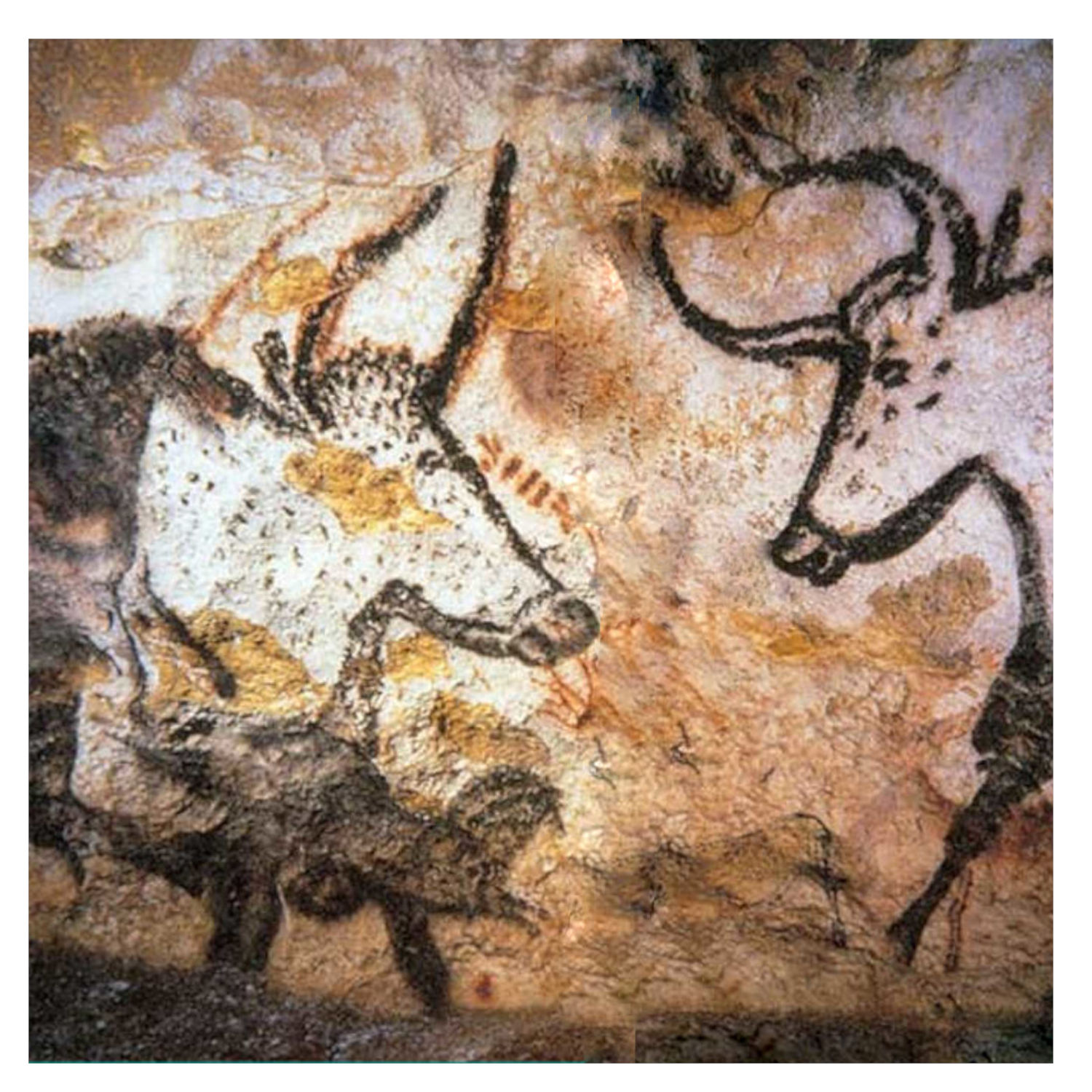 Astronomy in the Petroglyphs