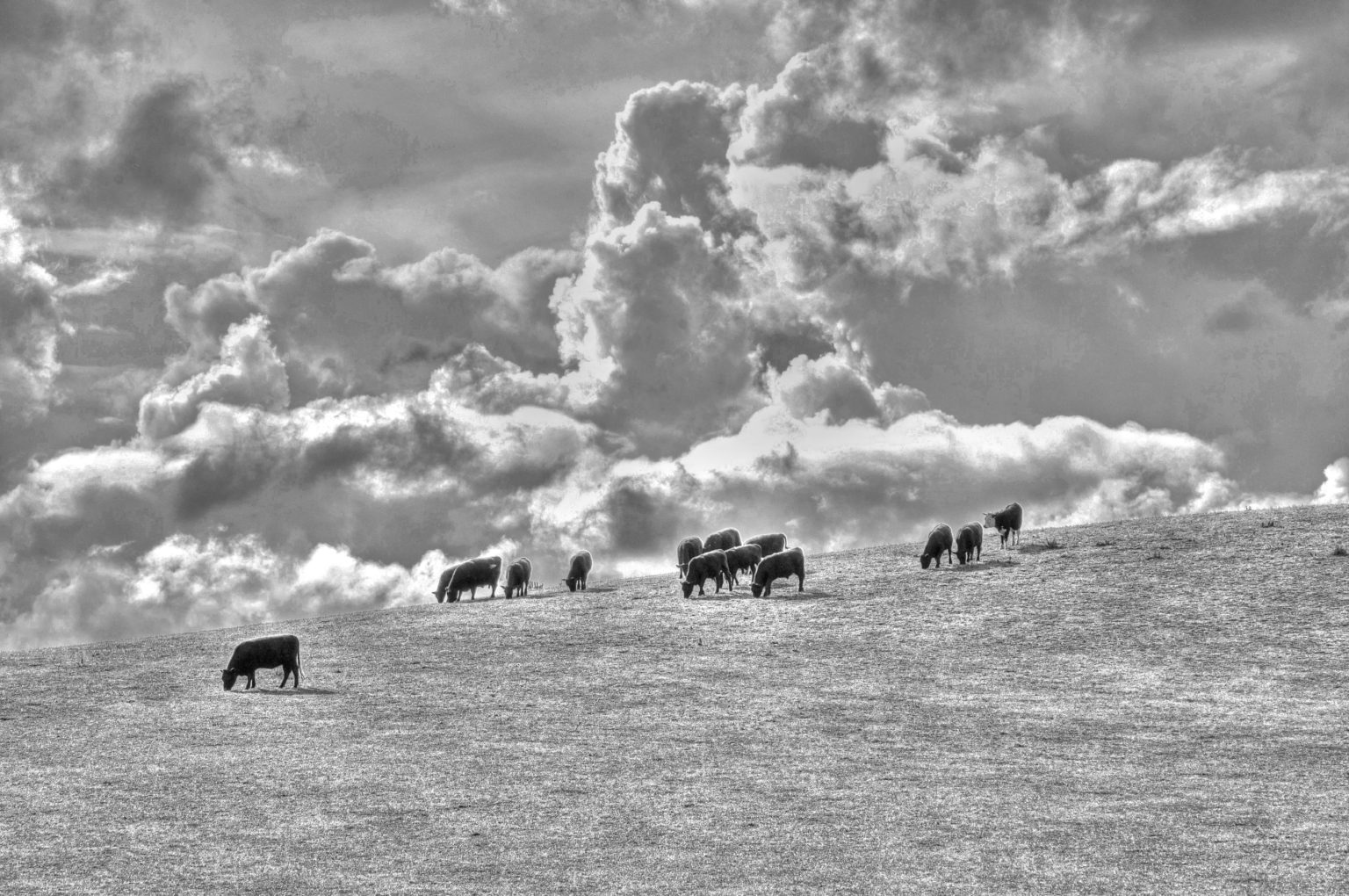 Off-Farm Income