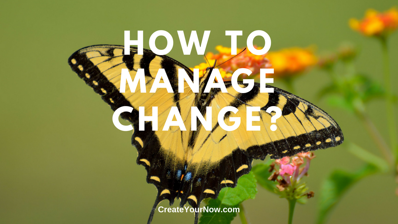 989 How Do You Manage Change?