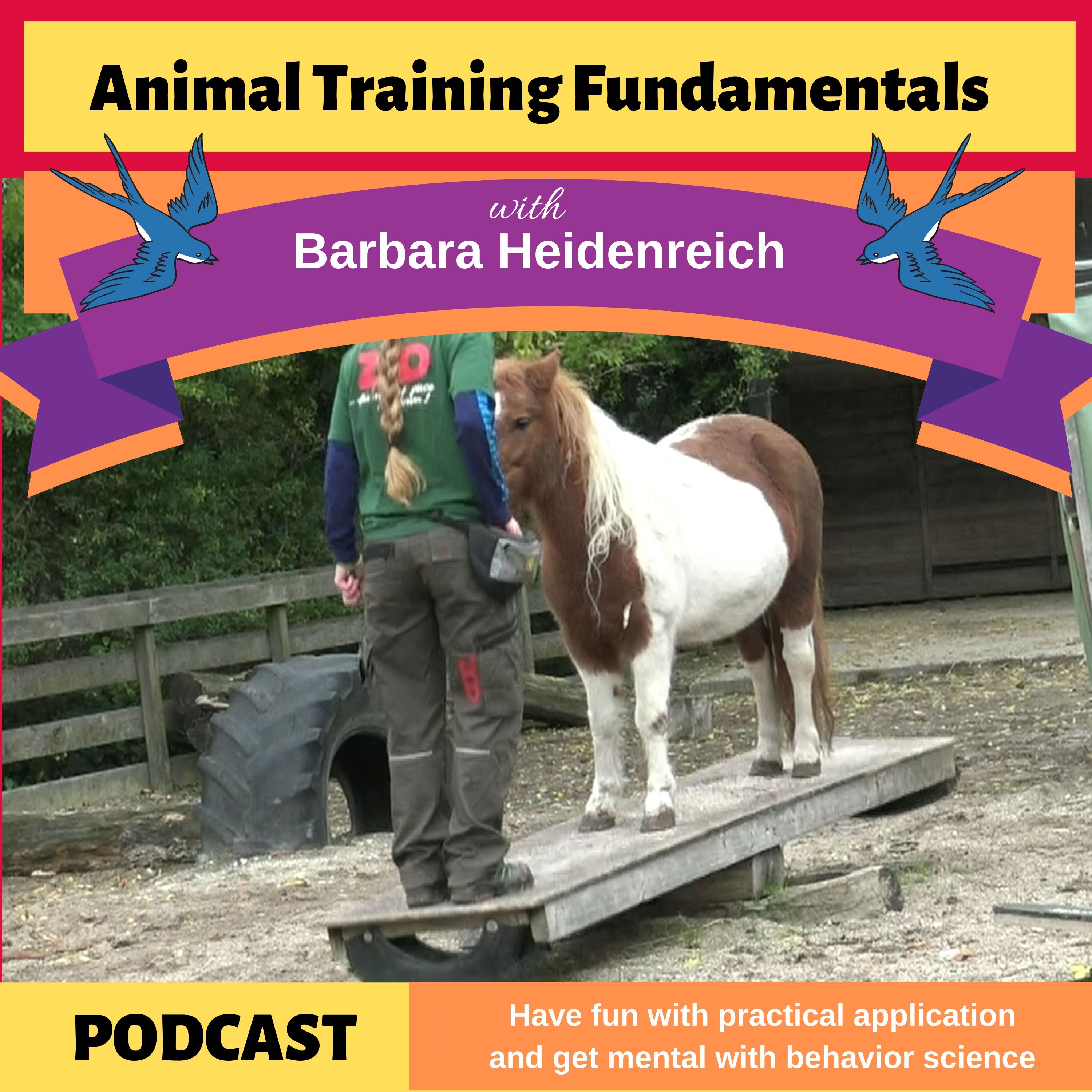 Animal Training Fundamentals with Barbara Heidenreich
