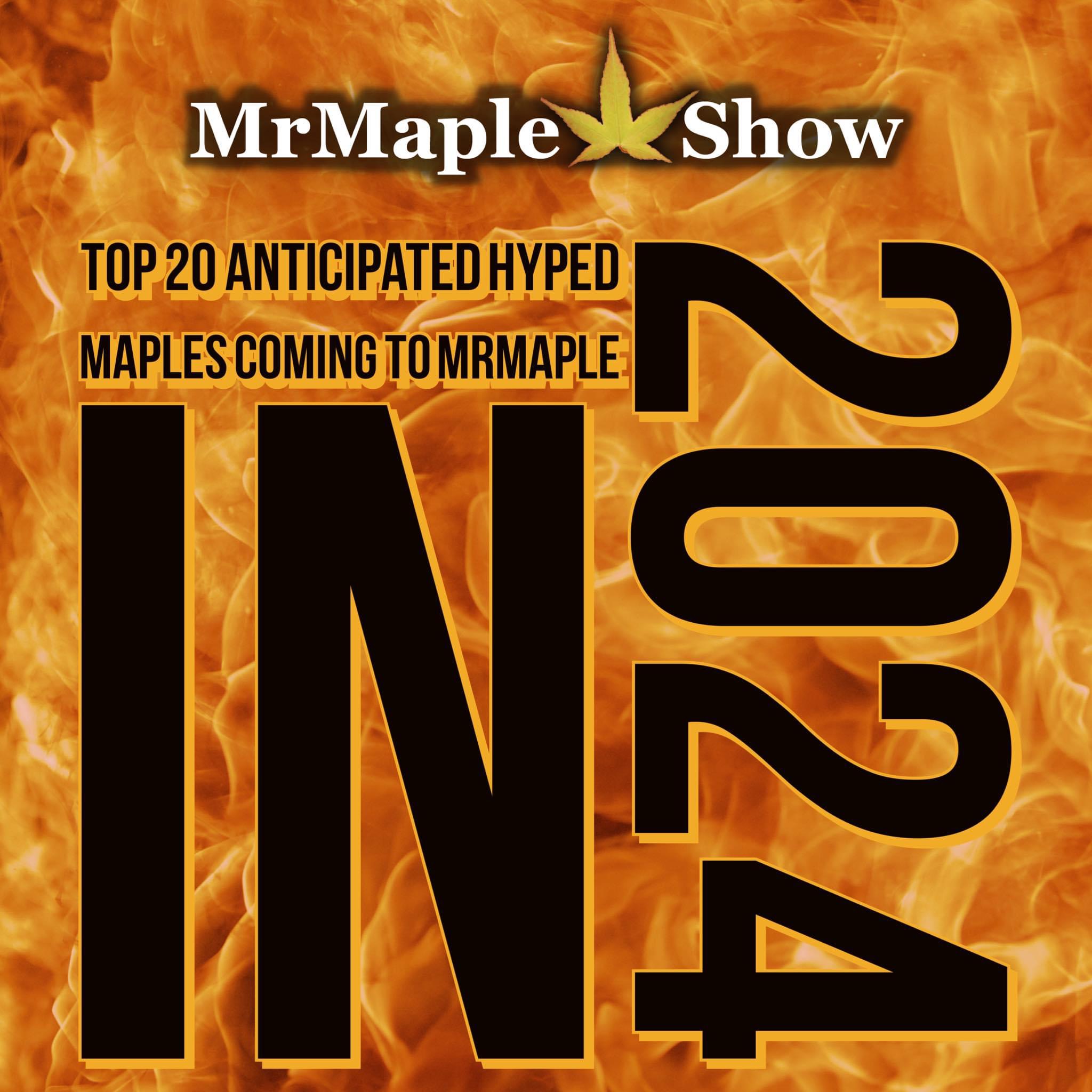 MrMaple Show