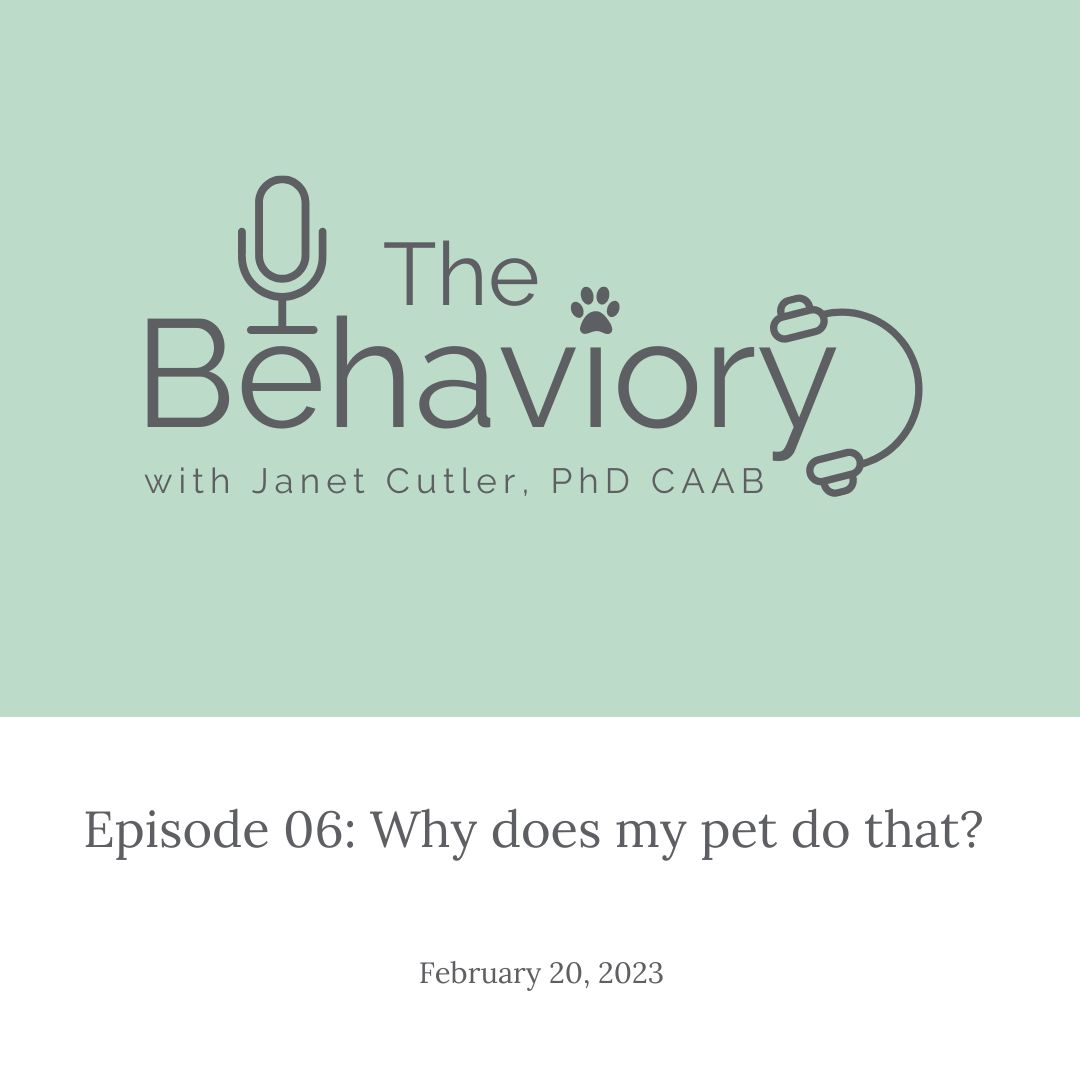 6. Why does my pet do that?