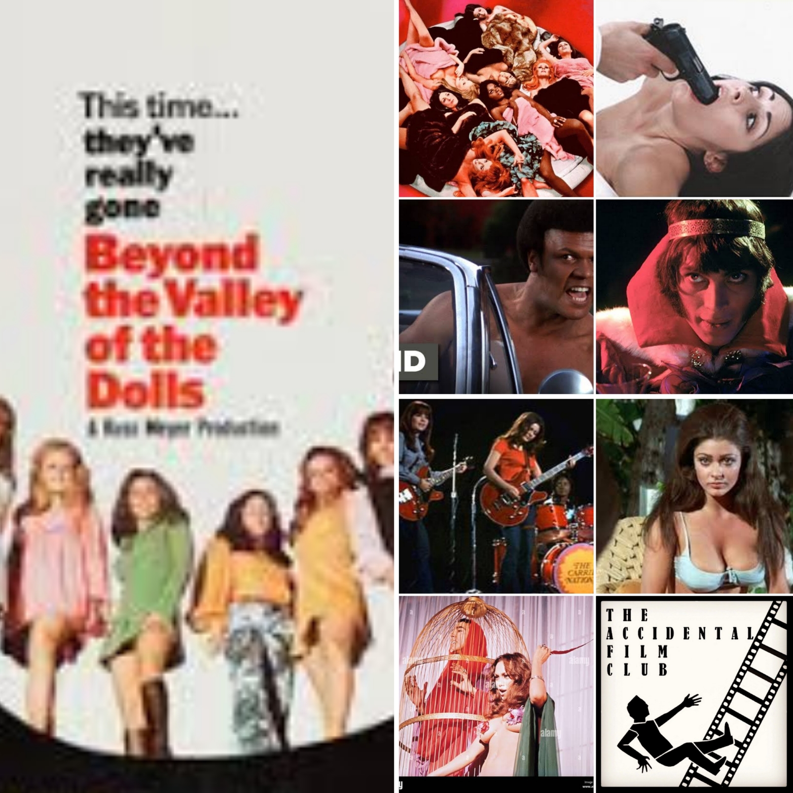 The Accidental Film Club