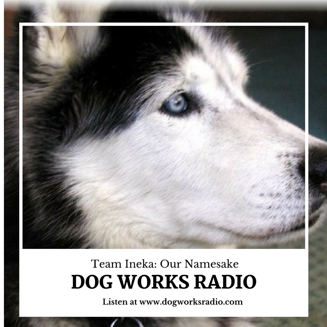 Team Ineka: Our Namesake