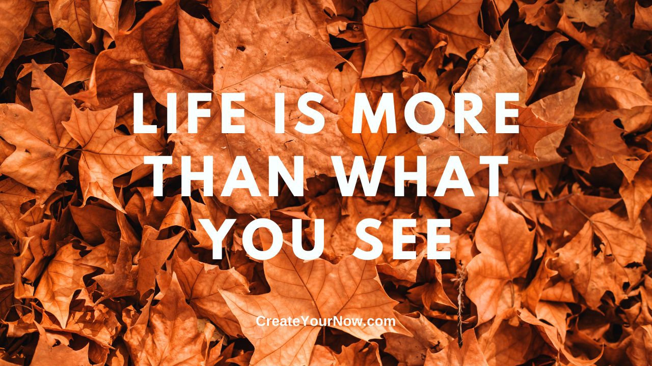 2148 Life is More than What You See