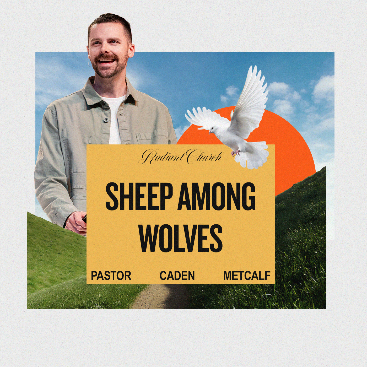 Sheep Among Wolves – Matthew 10:16–23 | Gospel of Matthew Week 24
