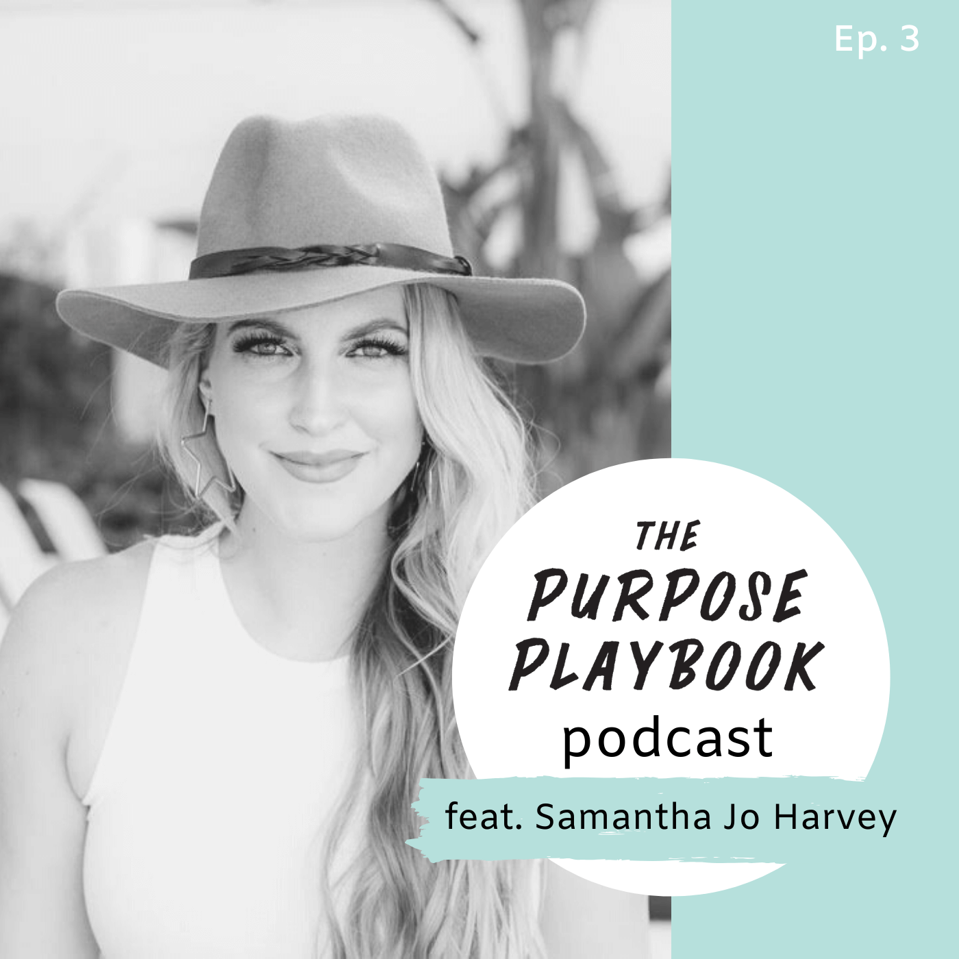 The Purpose Playbook Podcast