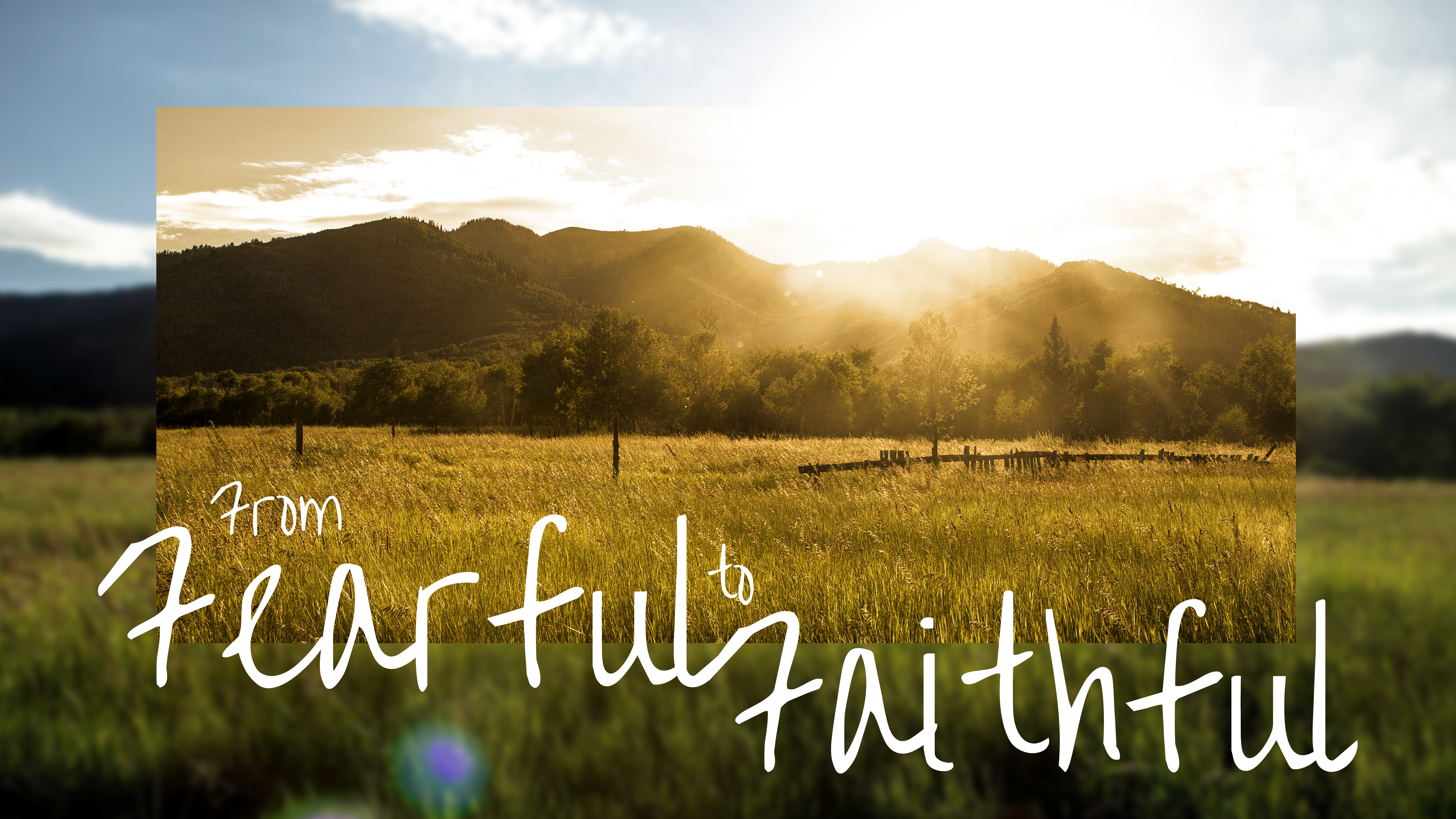 From Fearful to Faithful: Psalm 23, Wk 1- The Good Shepherd