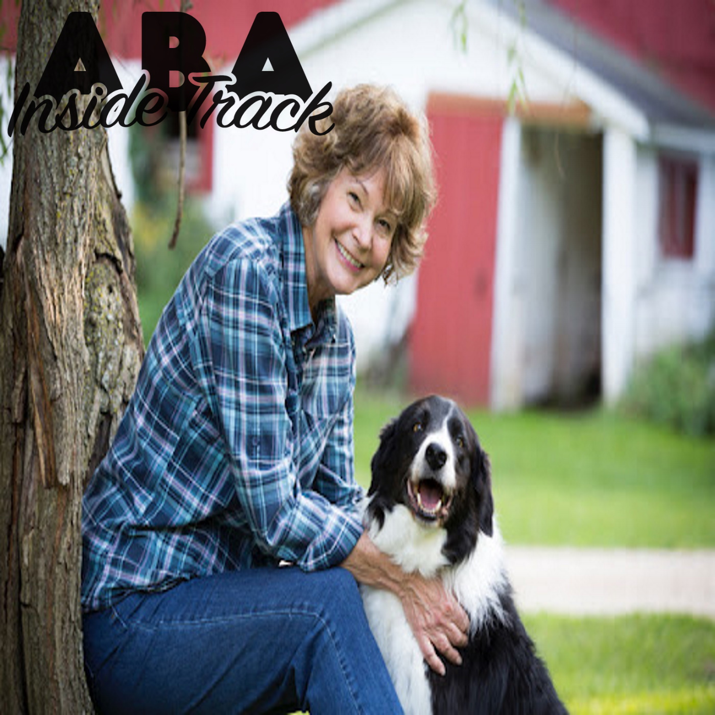 ABA Inside Track