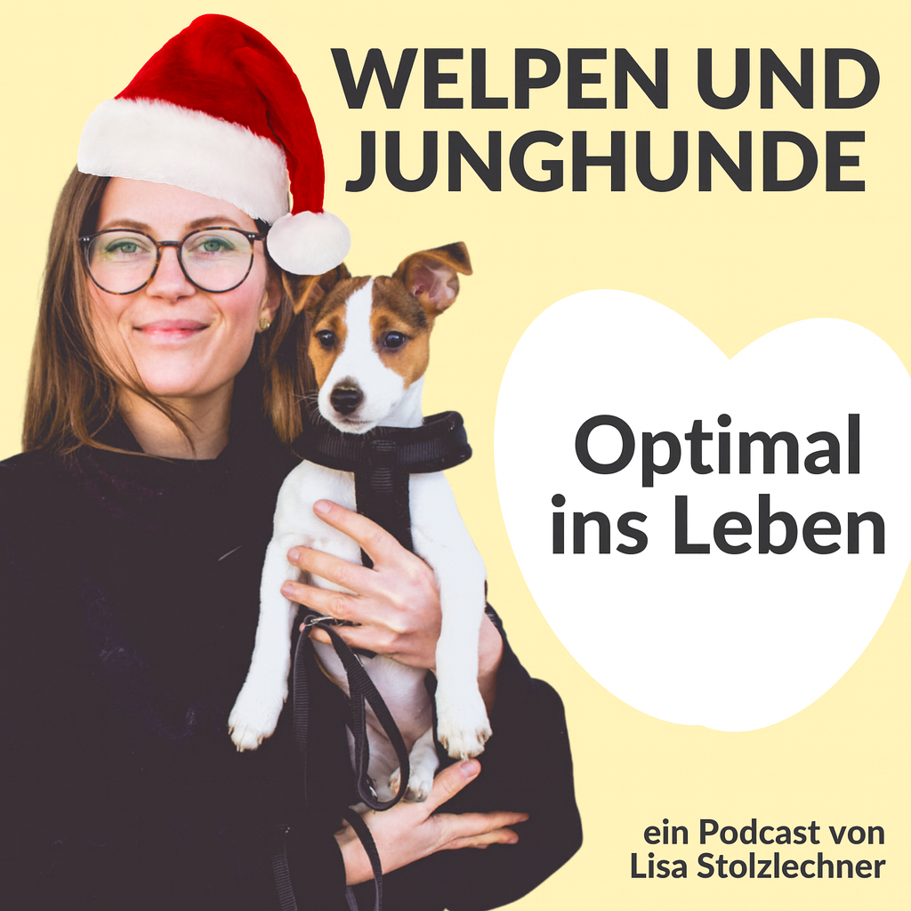 Optimal ins Leben! Welpen und Junghunde