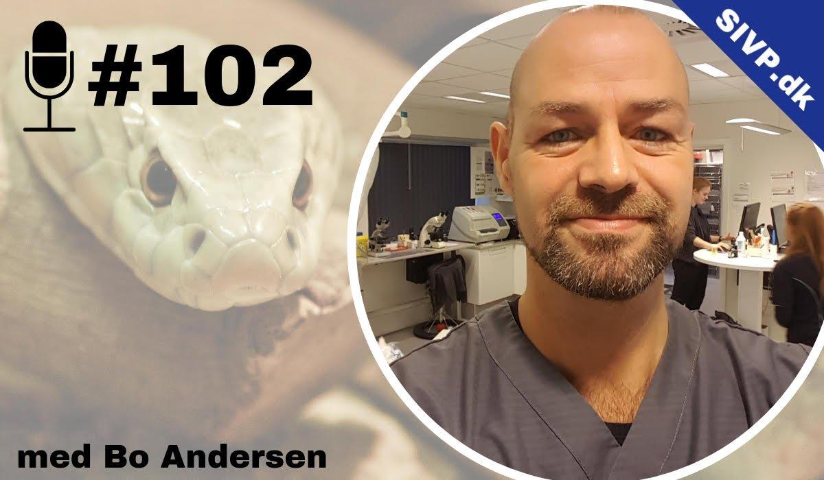 Succes I Veterinær Praksis Podcast - Sammen om at blive bedre