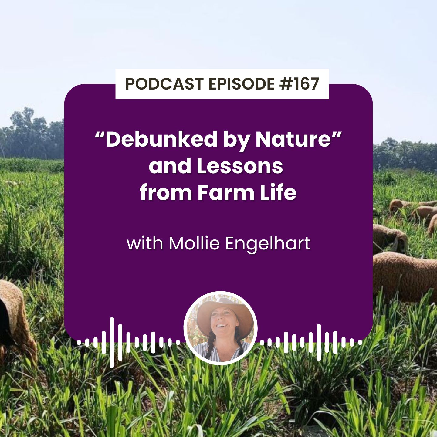 Episode 168: "Debunked by Nature" and Lessons from Farm Life with Mollie Engelhart