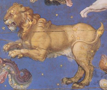 Sometimes, A Little Drama Isn't A Bad Thing... Leo Season Musings