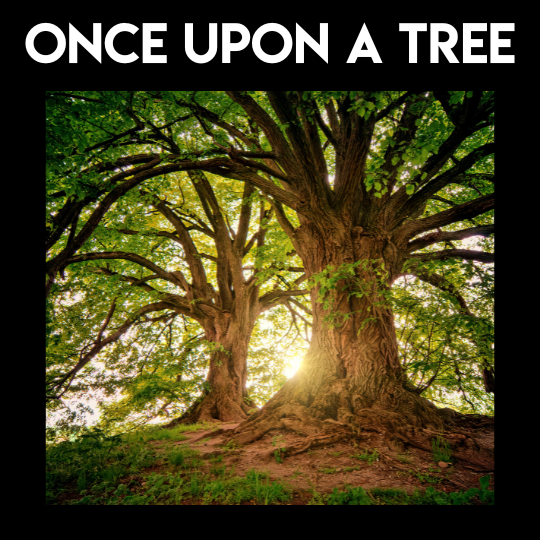 Special Music - Once Upon A Tree