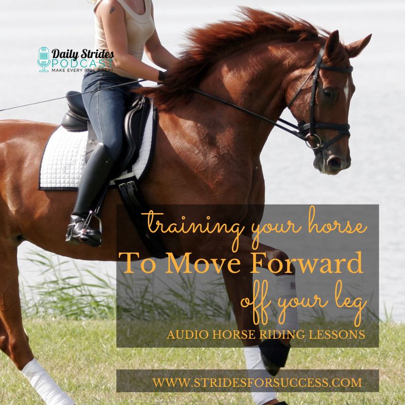 Getting Your Lazy Horse To Move Off Your Leg