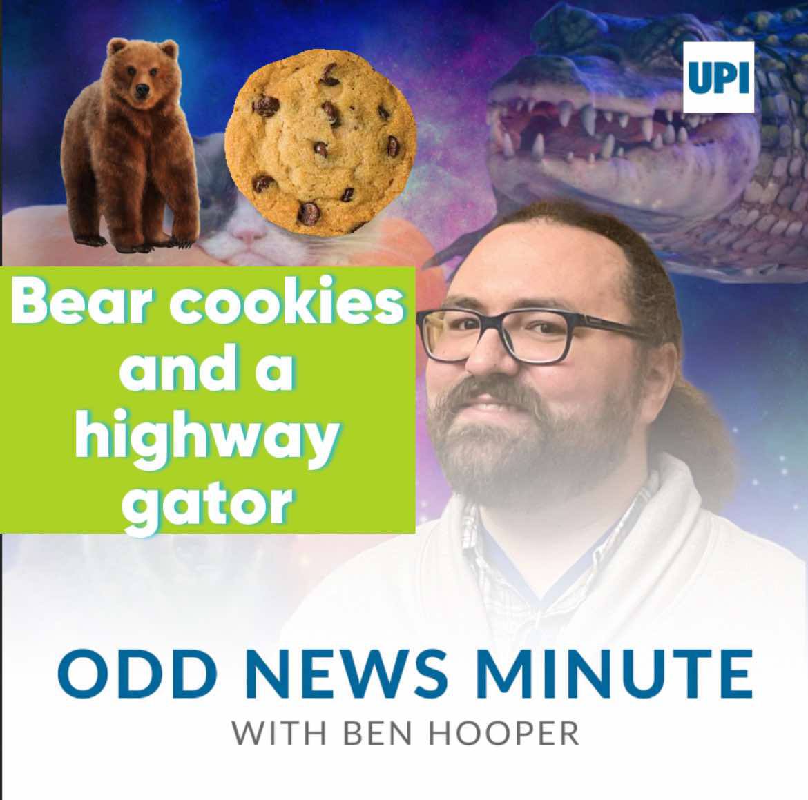 Cookies for bear, highway gator