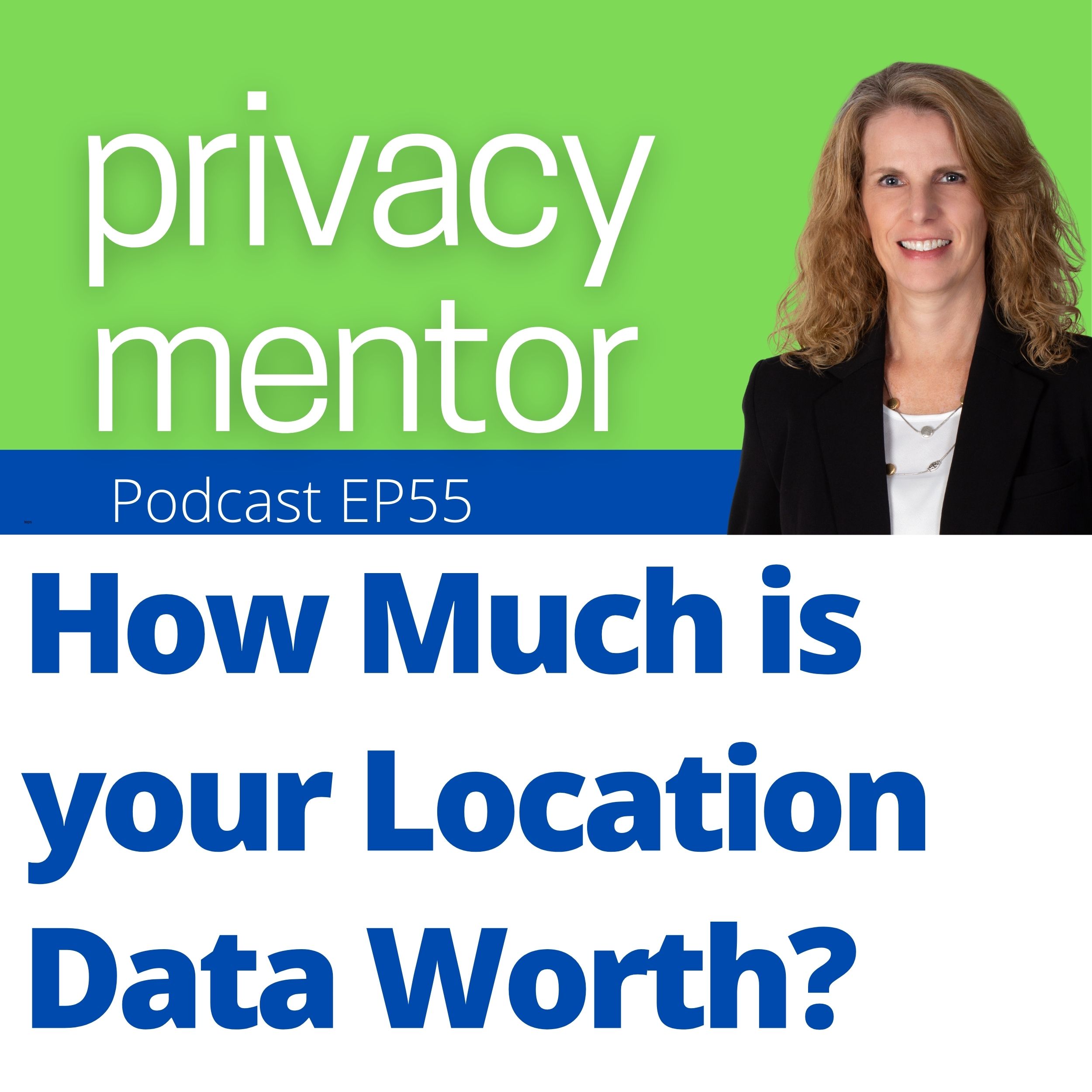 Privacy Mentor with Carrie Kerskie