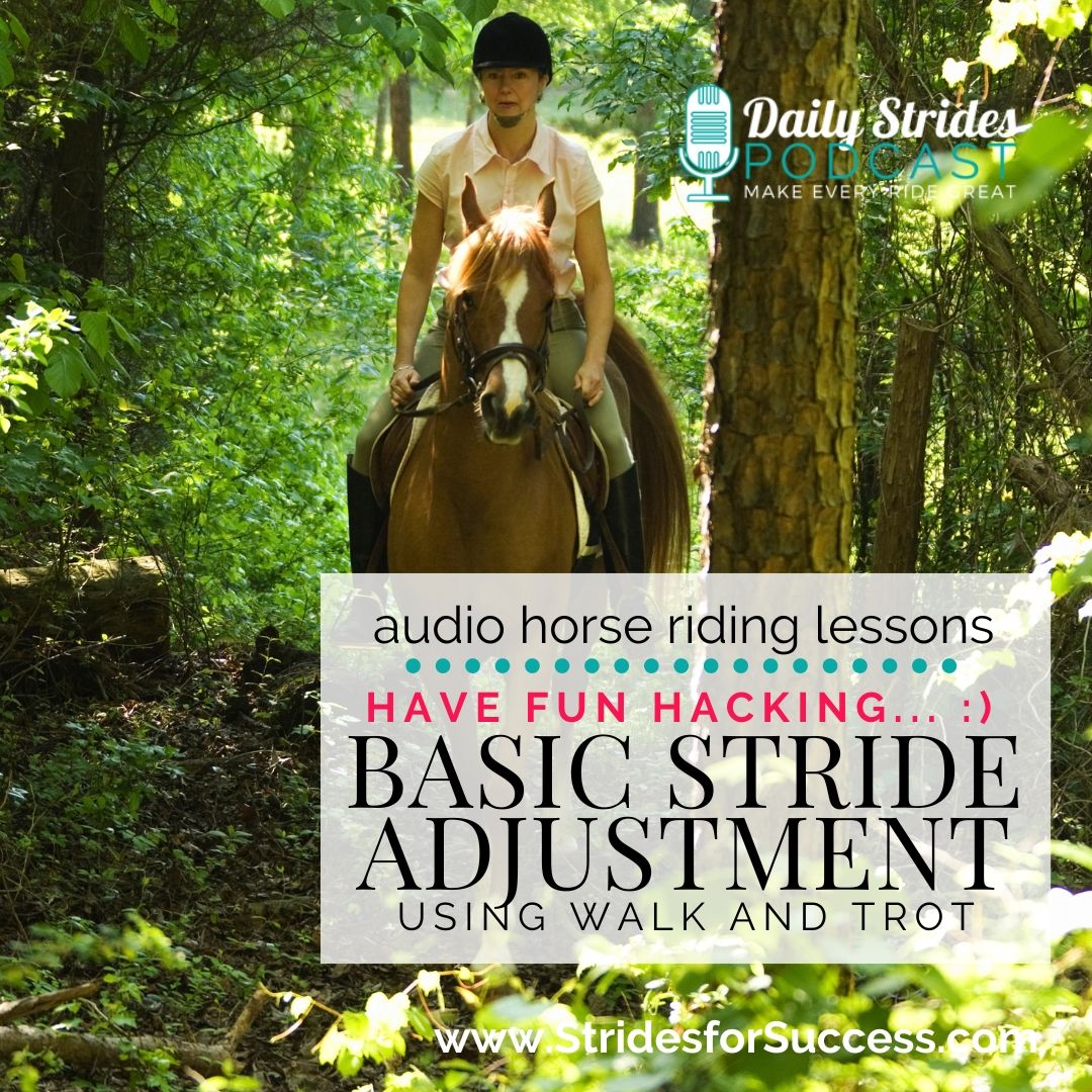 Have Fun Hacking - Stride Adjustment in Walk and Trot While on the Trail