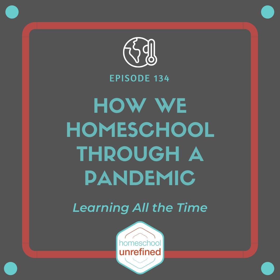 134: How We Homeschool Through a Pandemic: Learning All the Time
