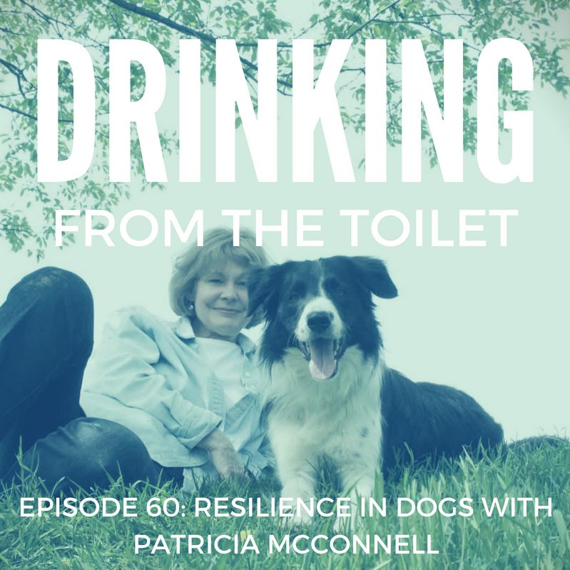 Drinking From the Toilet: Real dogs, Real training