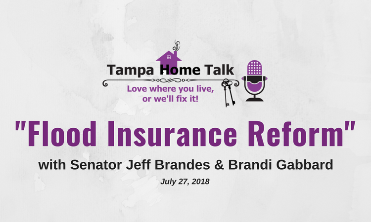 Flood Insurance Reform episode artwork