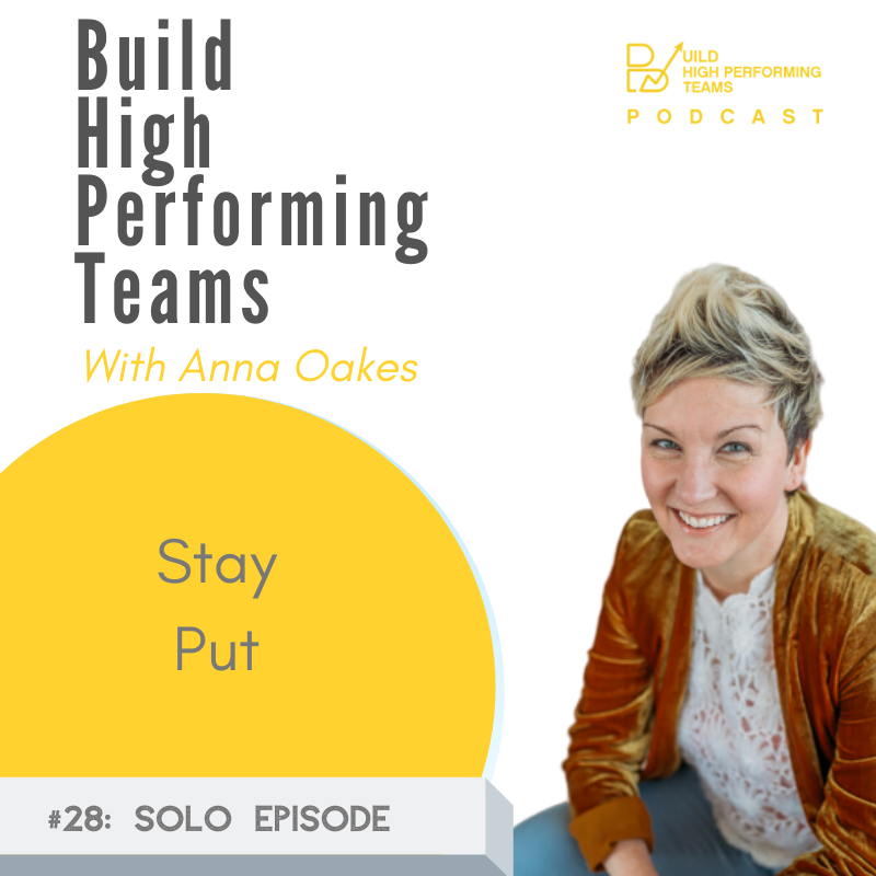 Build High Performing Teams Podcast
