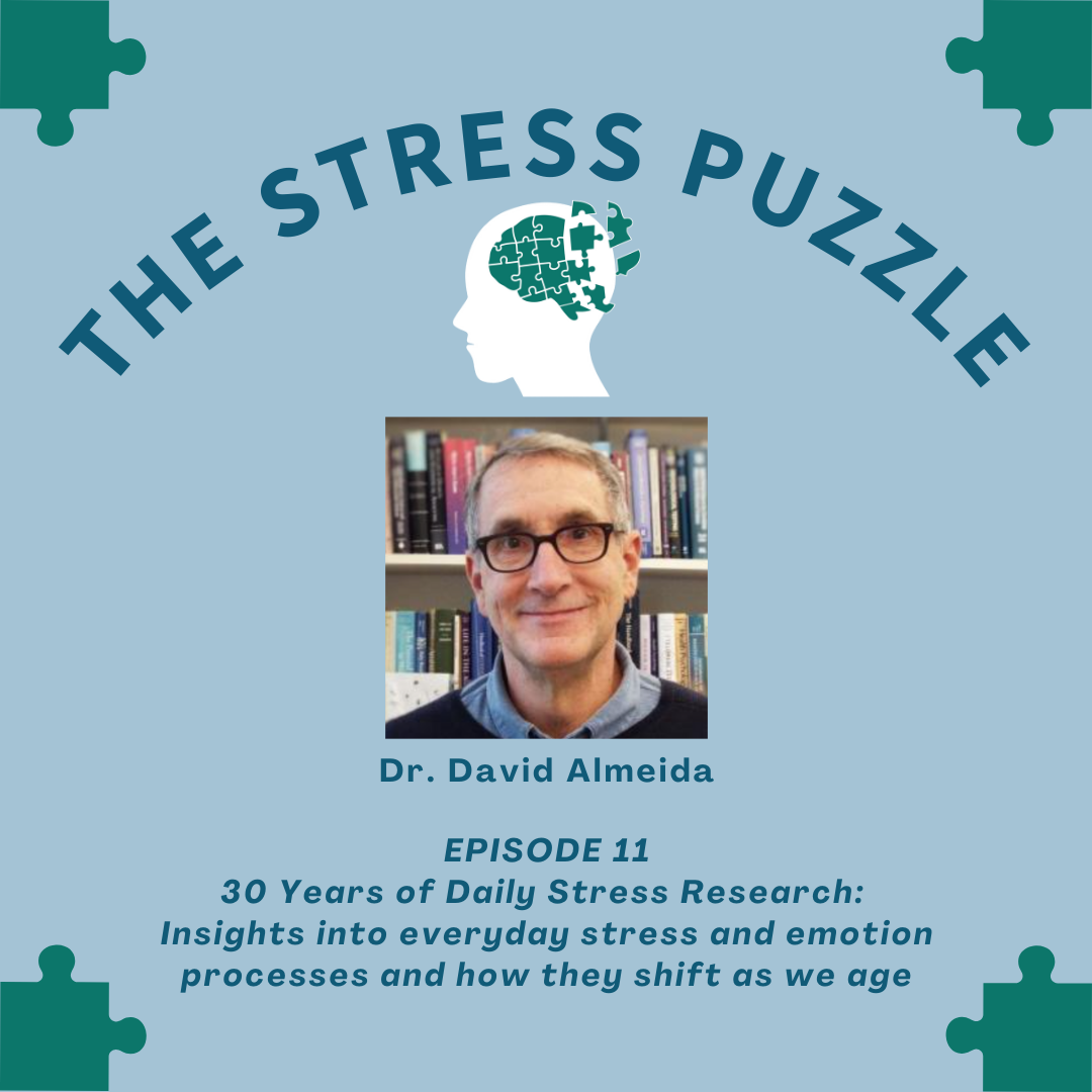 The Stress Puzzle