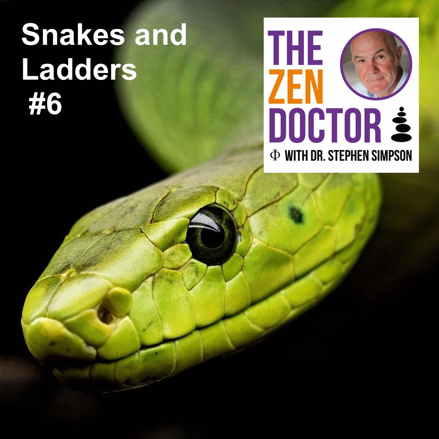 Snakes and Ladders #6