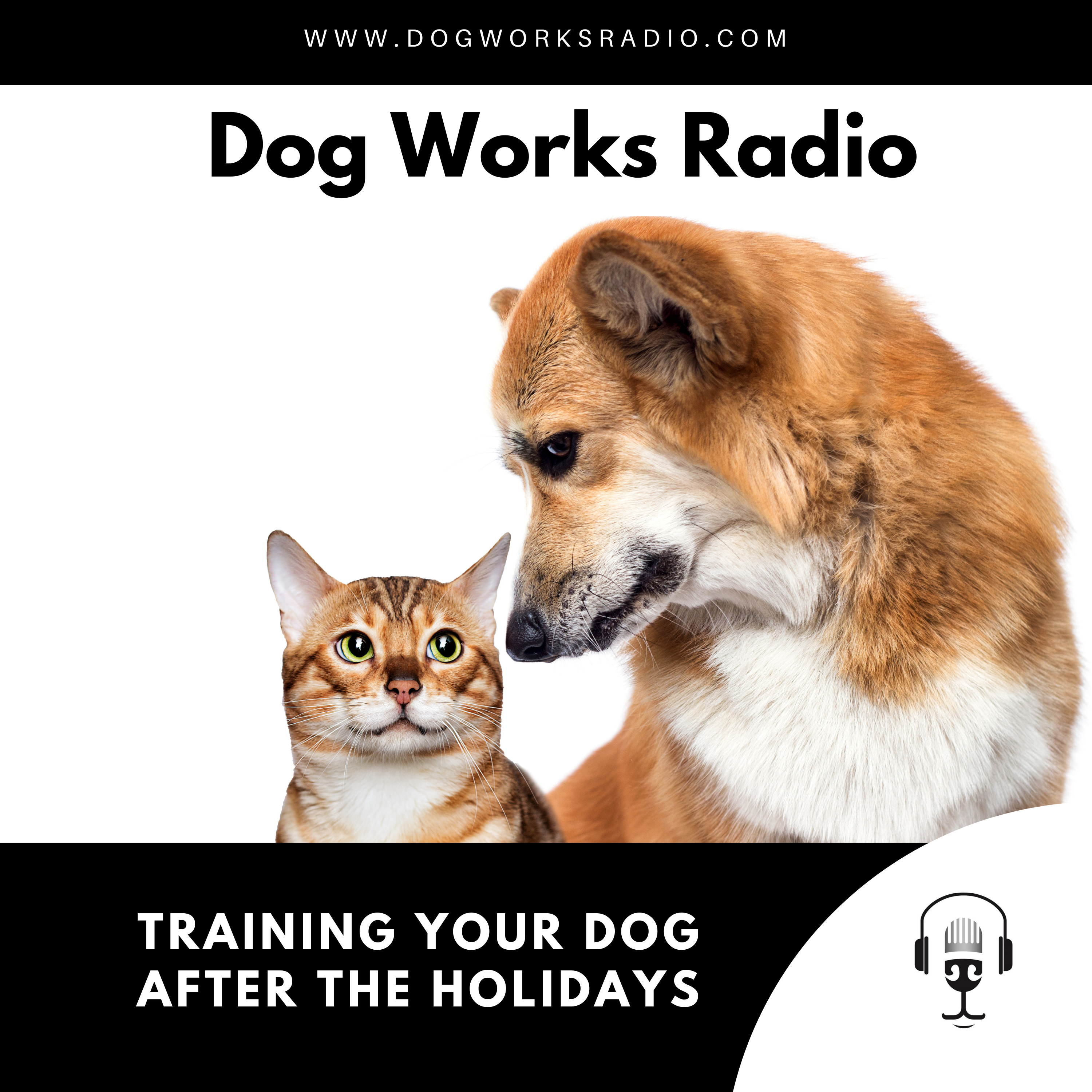 Tips to Help Your Pet Get Back into Routine After the Holidays or Travel